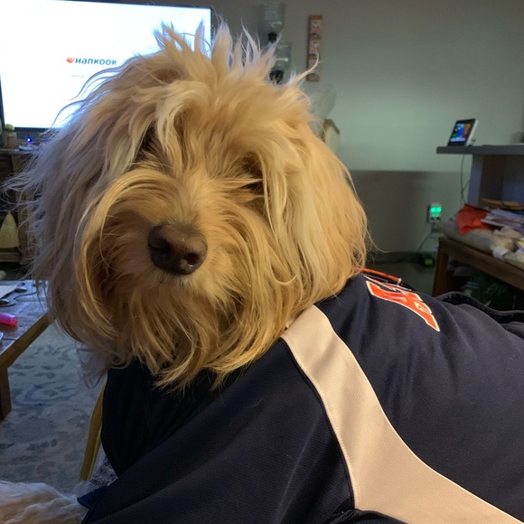 Adventure in my heart, pearls on my wrist-Free spirit wrapped in a silk scarf. - Picture 14 of 16